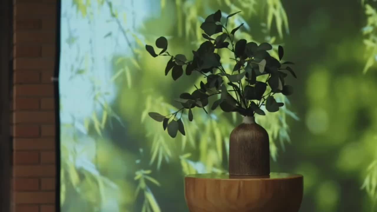 Pantalla de Proyección 4K 3D 100" Portátil Plegable